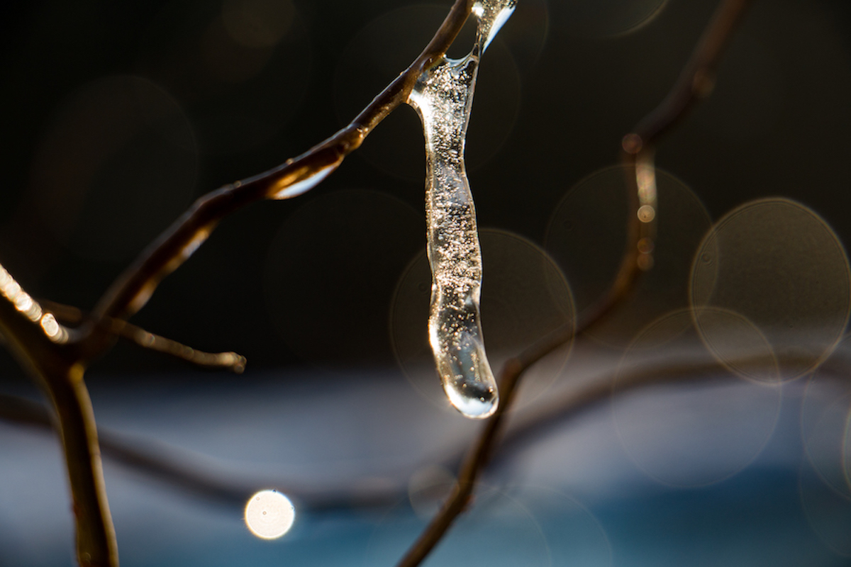 copyright-fanny-ducheyne-photographie-cristal-1