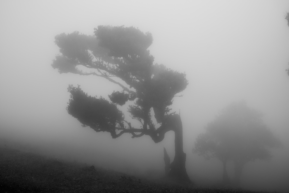 copyright-fanny-ducheyne-photographie-sculpture-2